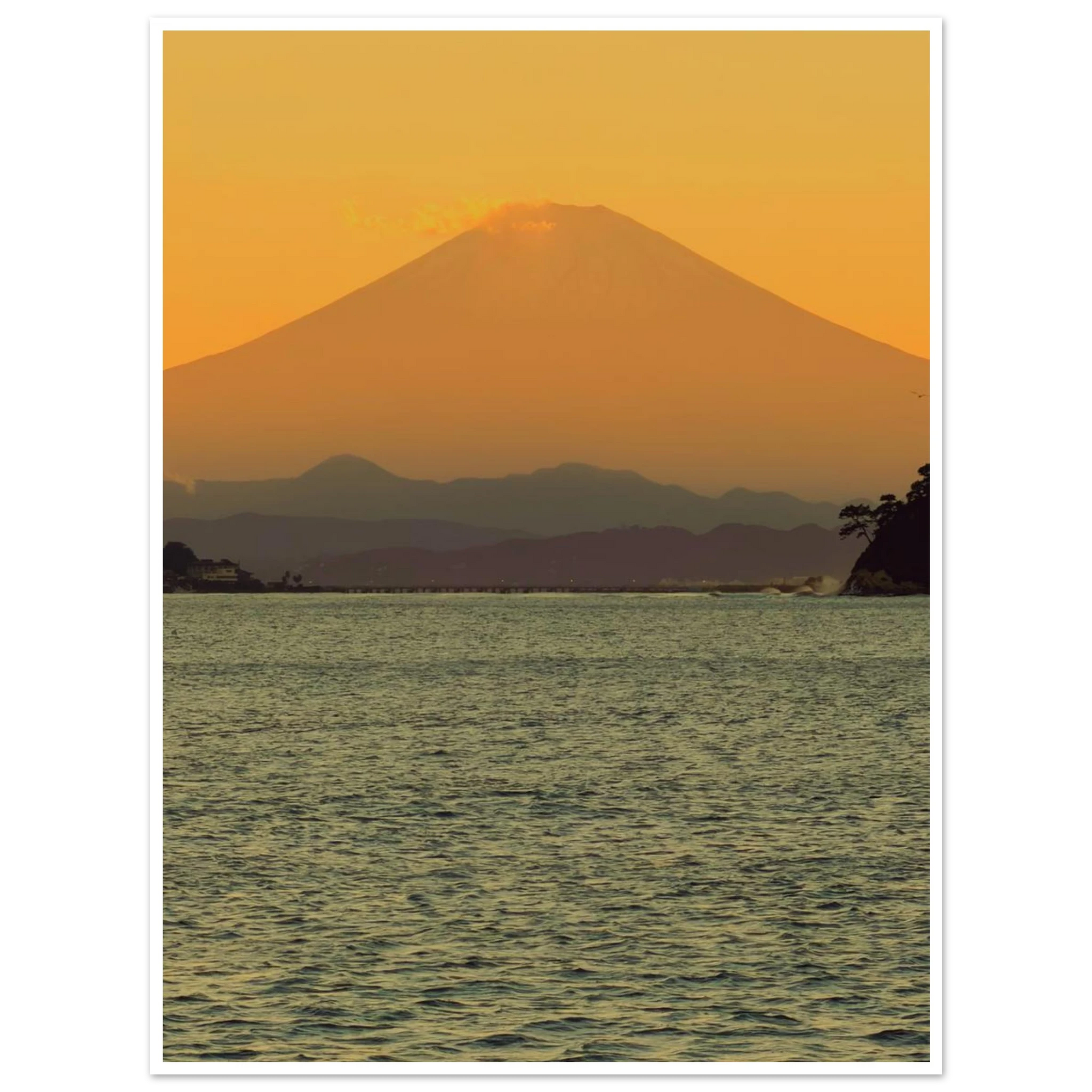 19a5c906-358d-40ad-9b30-8fea7e480703