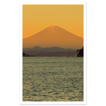 1f9f8ca7-a0cf-4900-b5ef-207a36e8a24b