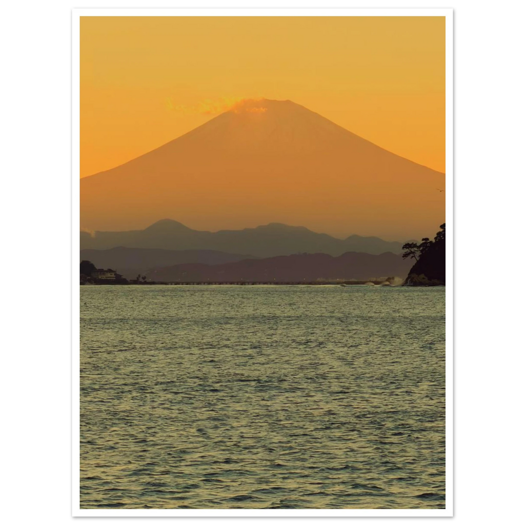 683fb86b-6c26-4b7d-8f90-920c4811a576