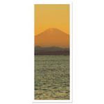 a9146fb3-7c20-48b8-8cac-2b98bc547980