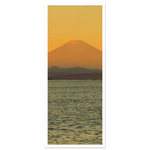 cf4f1a16-e10f-4619-93f5-88a8ff24bf02