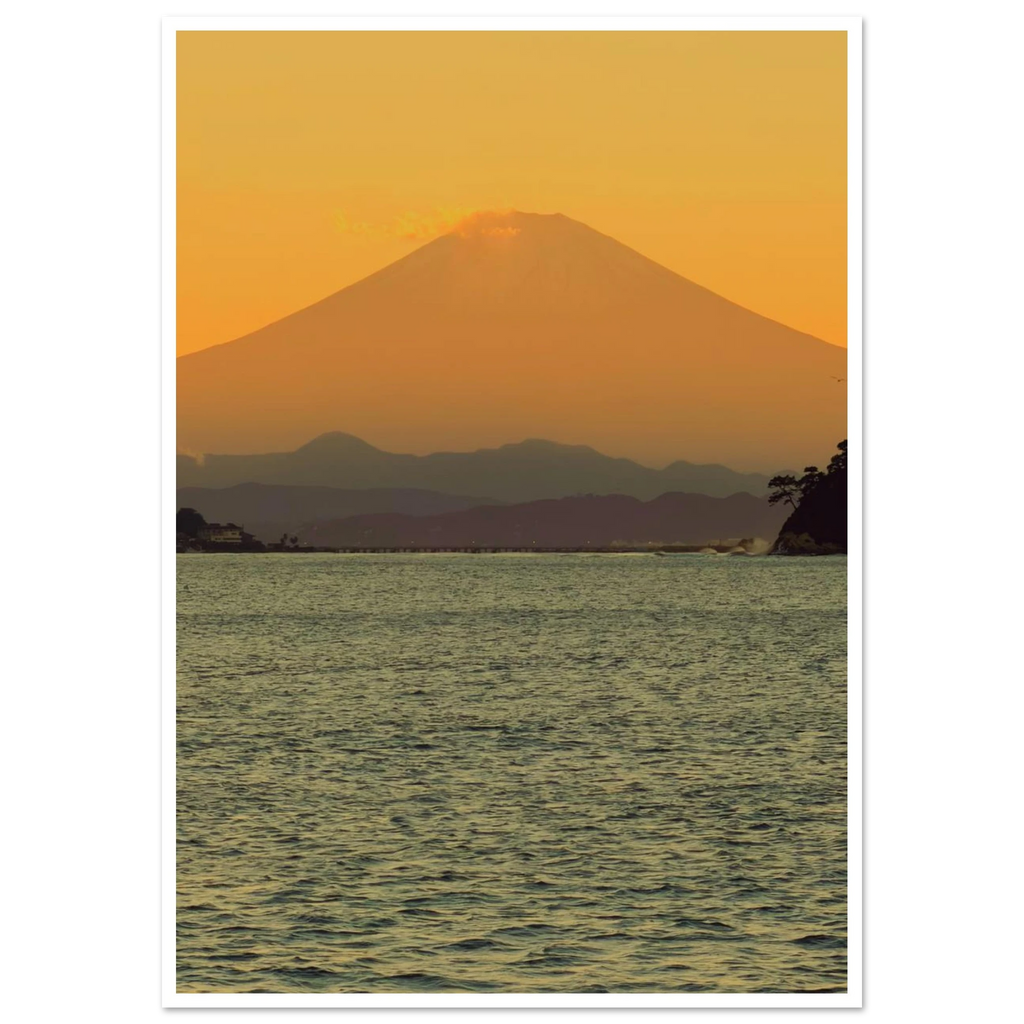 f9646907-209b-44cf-a251-8c364b5ede41
