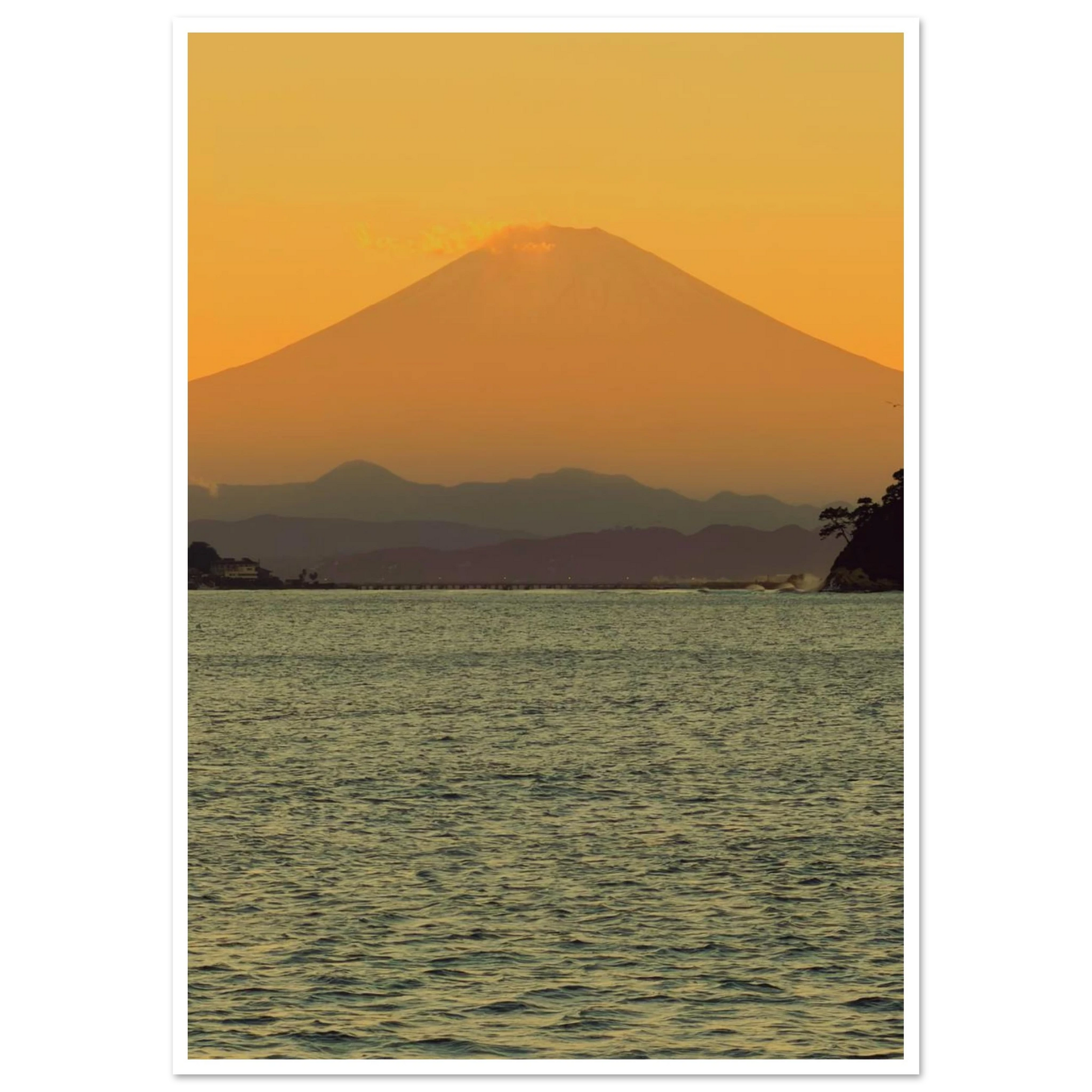 f9646907-209b-44cf-a251-8c364b5ede41